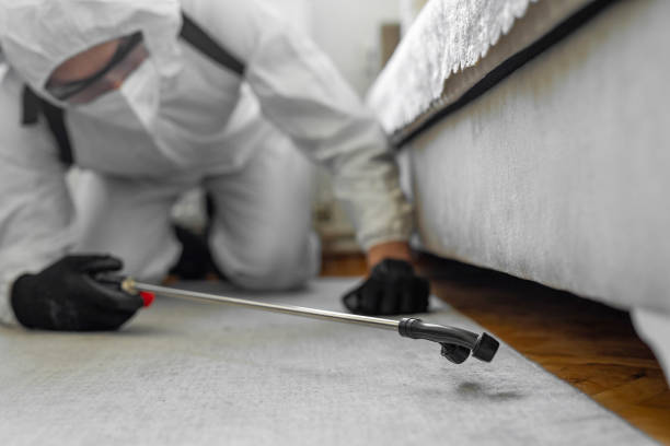 Professional Termite Control technician working in Travis County County, TX